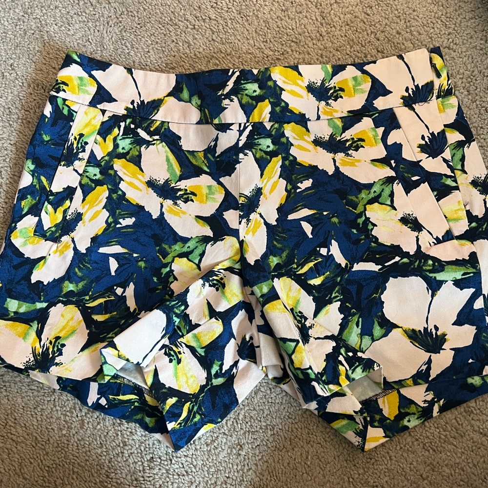 Colorful J.Crew Chino Shorts